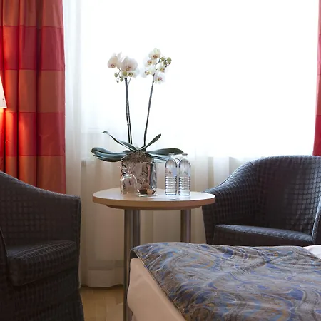Appartement-Hotel An Der Riemergasse-2