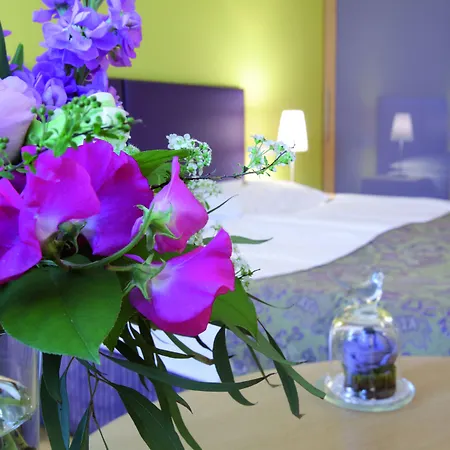 Appartement-Hotel An Der Riemergasse-3